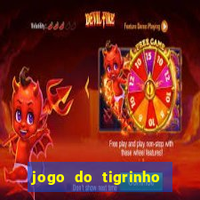 jogo do tigrinho falso para brincar